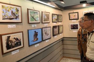 野鳥 多彩な姿捉える４８点　玉野・深山公園で愛好者写真展