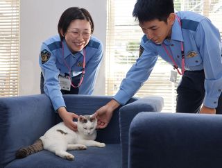 愛嬌たっぷり 職員や学生癒やす　日々業務にまい進 岡山県警察学校の「たま警視」