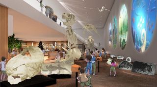 自然史博物館 展示概要発表　倉敷市 生物多様性学ぶ場に