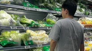 中国で食の安全を揺るがす白菜事件、禁止溶液で鮮度維持か