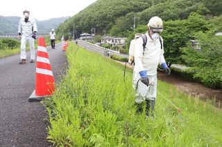 特定外来生物オオキンケイギク駆除へ　岡山河川事務所 堤防に薬剤散布　