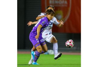 ファジ 元Ｕ１６日本代表アタッカー河野（Ｊ２山口）獲得へ 攻撃陣底上げ期待