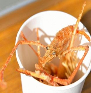 テナガエビ食べて児島湖清掃　岡山県が「大作戦」参加者募る