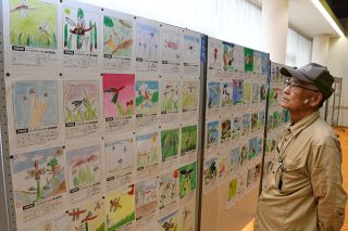 ハッチョウトンボ湿原に戻って　新見のきらめき広場・哲西でイラスト展　
