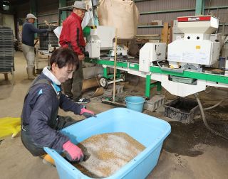 【岐路に立つコメ】第４部「新農法」（３）バイオ資材／本来の成長力引き出す