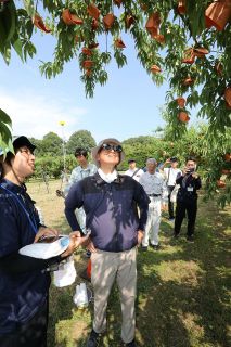 ２６年度農林水産関係予算　岡山、暑さに強いコメ普及へ