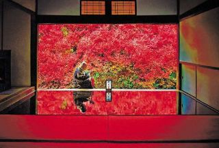 ６９１回 紅葉や祭り 季節感あふれる作品