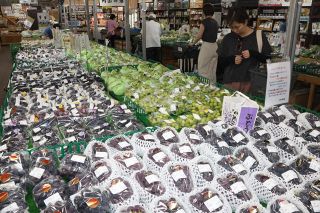 旬のブドウ直売や食べ放題、岡山県内の観光農園　収穫本格化しイベント多彩