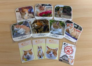 猫城主さんじゅーろー新グッズ発売　高梁市観光協会がハンカチなど