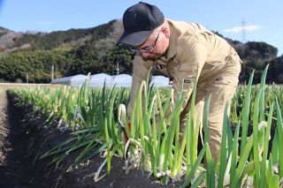 真庭市 白ネギ　南北一体でリレー出荷