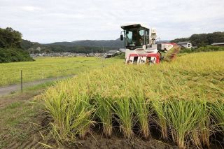 ２５年産米の概算金１・５倍に　岡山２ＪＡ、販売価格に影響も