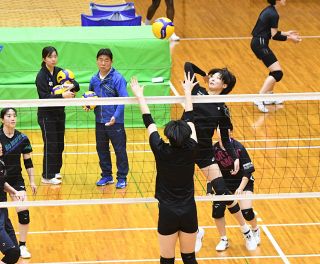 シーガルズ 今季ホーム最終２連戦 ２８、２９日に２位ＳＡＧＡ久光と激突　２連勝中の勢いぶつけろ