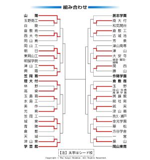高校野球 岡山大会 第５日（１５日）の勝敗　２回戦７試合