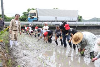 備前・香登小児童が田植え体験　腰かがめ丁寧に作付け