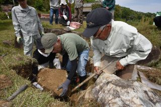 福山田上古墳の石室本来の形に　歴史愛好家が移築ミス看破し修復