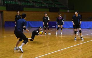 後半戦巻き返しを シーガルズ17、18日アウェー大阪Ｍ戦／初のＳＶリーグで活躍 レフト藤村