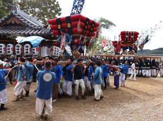千歳楽勇ましく 総担ぎで境内練る　笠岡・神島天神祭