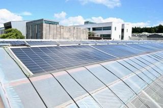 【韓国・済州島】再エネ活用、脱炭素の島へ　強風生かし風力発電　ミカン栽培や水素バスも　諸外国に先駆け実現目指す