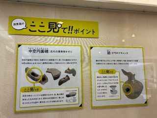 【シネじいの街ぶらブラボー♡】寒風の須恵器がアツイ！（下）ついに「都」へ