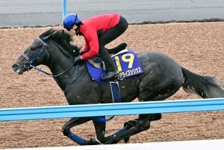 リアライズシリウス好感触　競馬の皐月賞追い切り
