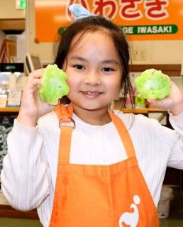 食品サンプル、用途拡大　岐阜、国内初事業化の老舗