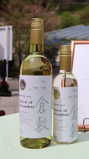 倉敷 オレンジワイン商品化　ふなおワイナリー 県内アレキ栽培１４０年記念