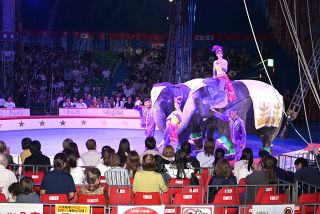 木下大サーカス岡山公演　夢舞台最終盤 ２７日限り