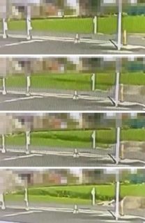 震源断層の出現映像を撮影　熊本地震、貴重と専門家