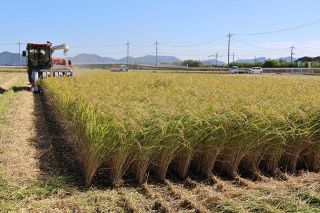 岡山２６年産コメ収穫量 １４万４１００トン　豊作だった前年並み 日照に恵まれ、台風の影響もなく