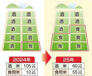 国定農産、食用米５倍に増産　米価高騰で酒米から切り替え