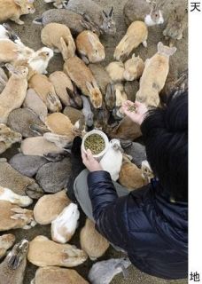 「生活ワイド」訪日客増加、地域の対応は　別府温泉は留学生らが仲介　相互理解、対話重ねて