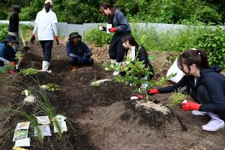 耕作放棄地を再生し「食べられる森」へ　新見市、県内外４大学と実証事業スタート