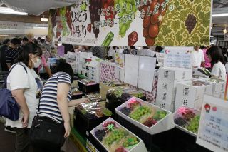 岡山県産ブドウ４０種を直売　３０日まで総社、赤磐、岡山市