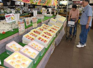 岡山県の夏の味覚・白桃 味わって　販売会や食べ放題イベント