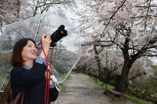 桜やフルーツ… 春の岡山市の魅力発信　韓国インフルエンサー招待しプロモーション