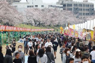 さくらカーニバル３月２８日開幕　実行委発表 岡山の旭川河川敷一帯