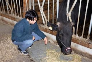 父と歩む畜産の道、福島・葛尾村の１９歳　全域避難の帰還率３割、「村に活気を」