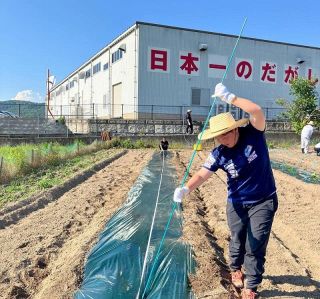 食品卸の大町 農業分野に本格参入　米や野菜、将来的には直売所も