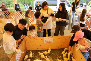玉野・深山公園５０周年　年間１６０万人花木や遊具楽しむ　猛暑対策や老朽化課題 民間活力導入検討