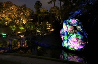 岡山の名所 光に彩られ　幻想庭園、烏城灯源郷開幕