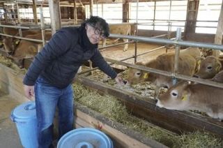 希少牛「あかうし」、巨大地震から守れ　高知大が品種存続研究、生産者減少にも対応