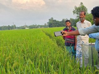 バングラで農業ＤＸ化支援　両備システムズ、収量増に貢献