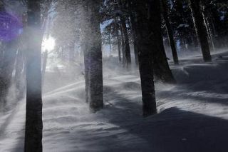 山で地震に遭ったらどうしますか？