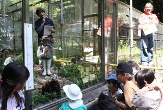 池田動物園で多文化に触れる催し　家族連れら世界のグルメ楽しむ
