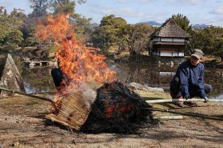 春告げる「こも焼き」　津山・衆楽園で松の害虫駆除