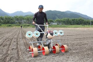 「乾田直播き」新方式を実証試験　種もみ入りテープで真庭技建など