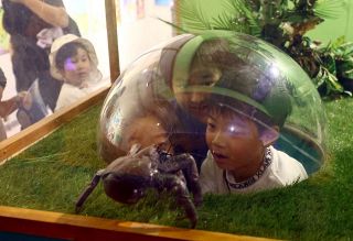 多彩な生き物 触れ合って　天満屋岡山店「すいぞくえん」２４日まで
