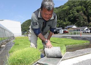 もみ殻バイオ炭を育苗培土に活用　岡山のコメ農家、作業負担やコスト低減