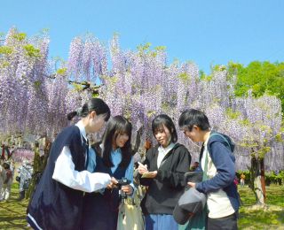 和気町 魅力発信へ２プロジェクト　藤色インク、猫キャラファン獲得
