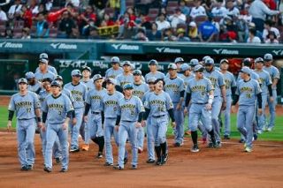 Ｍ１阪神は広島に敗れる　ナイターで巨人敗戦なら優勝